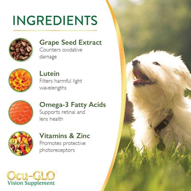 Vision Supplement for Small Dogs O778