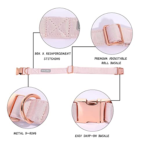 Bowtie Dog Collar with Detachable Bow Tie N823