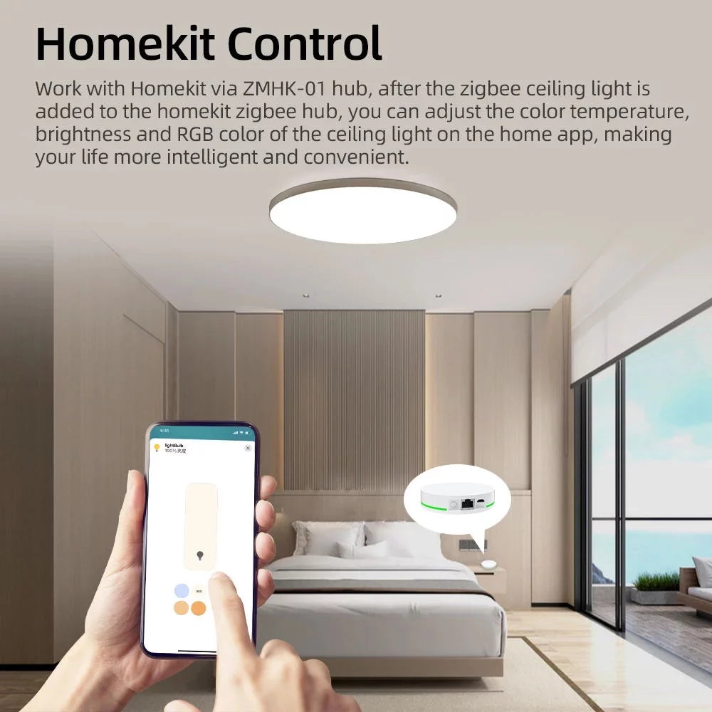 24W Smart LED Ceiling Light G13999