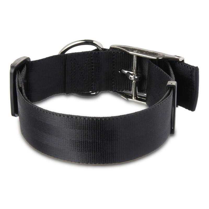 Solid Dog Collar with Metal Buckle V930