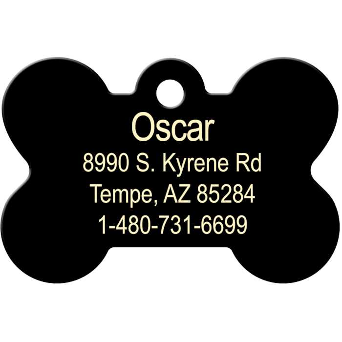 San Francisco 49ers Dog ID Tag K29307