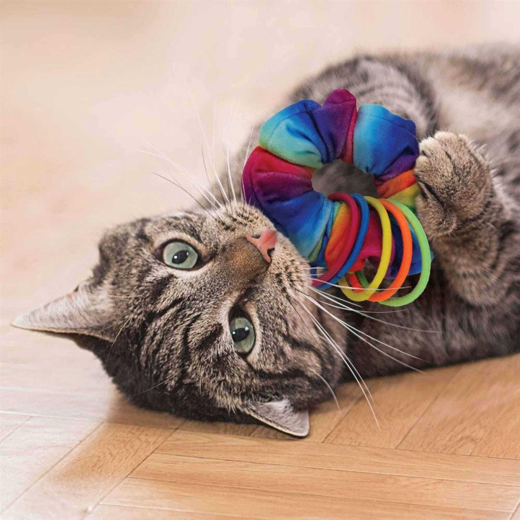 Cat Toy R739291
