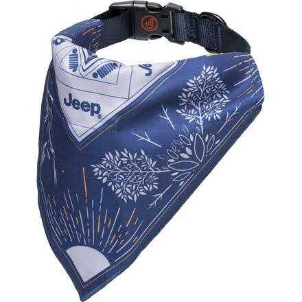 Bandana Dog Collar T4694