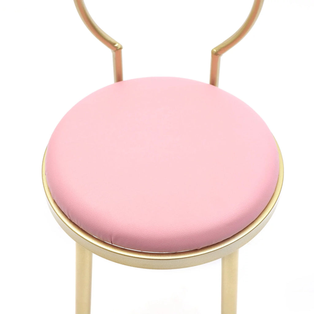 Vanity Stool Metal Frame Padded Cushion M396327